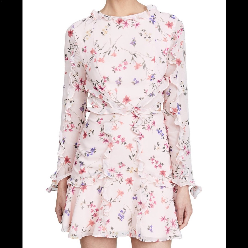 NWT FAME AND PARTNERS Kye Dress in Pink Floral